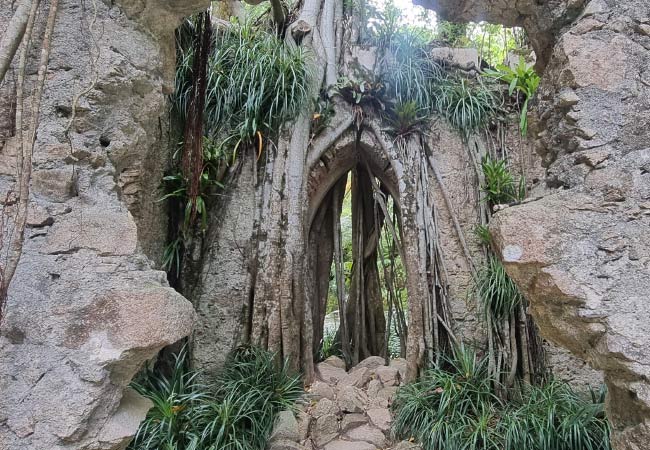 tree-covered chapel ruins of Sintra